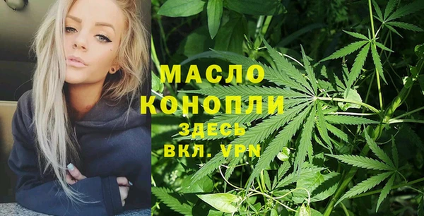 ешки Бородино
