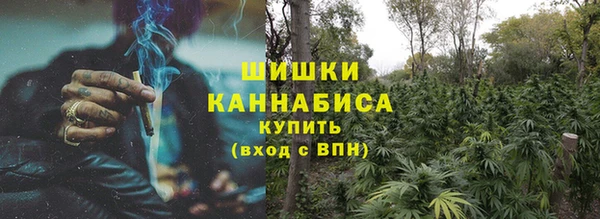 ешки Бородино