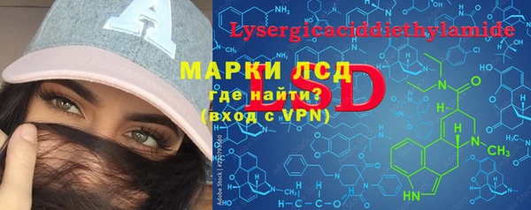 ешки Бородино
