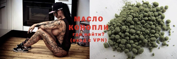 ешки Бородино