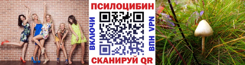 Галлюциногенные грибы прущие грибы  закладка  Венёв 
