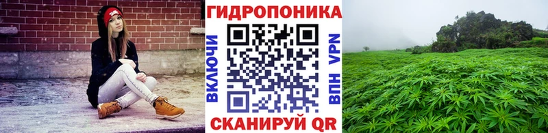 Марихуана ГИДРОПОН  наркотики  Венёв 